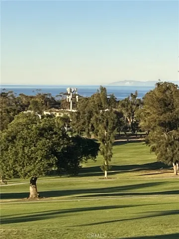 a view of a backyard with table and chairs and potted plants