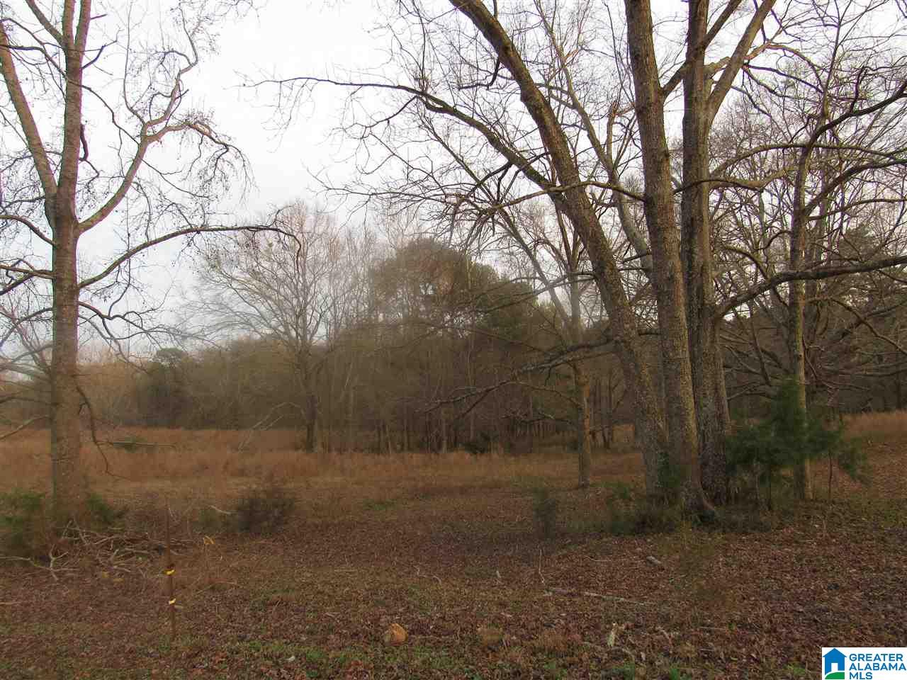 0 County Road 85, Unit 1 Clanton, AL 35045 - Photo 2 of 3