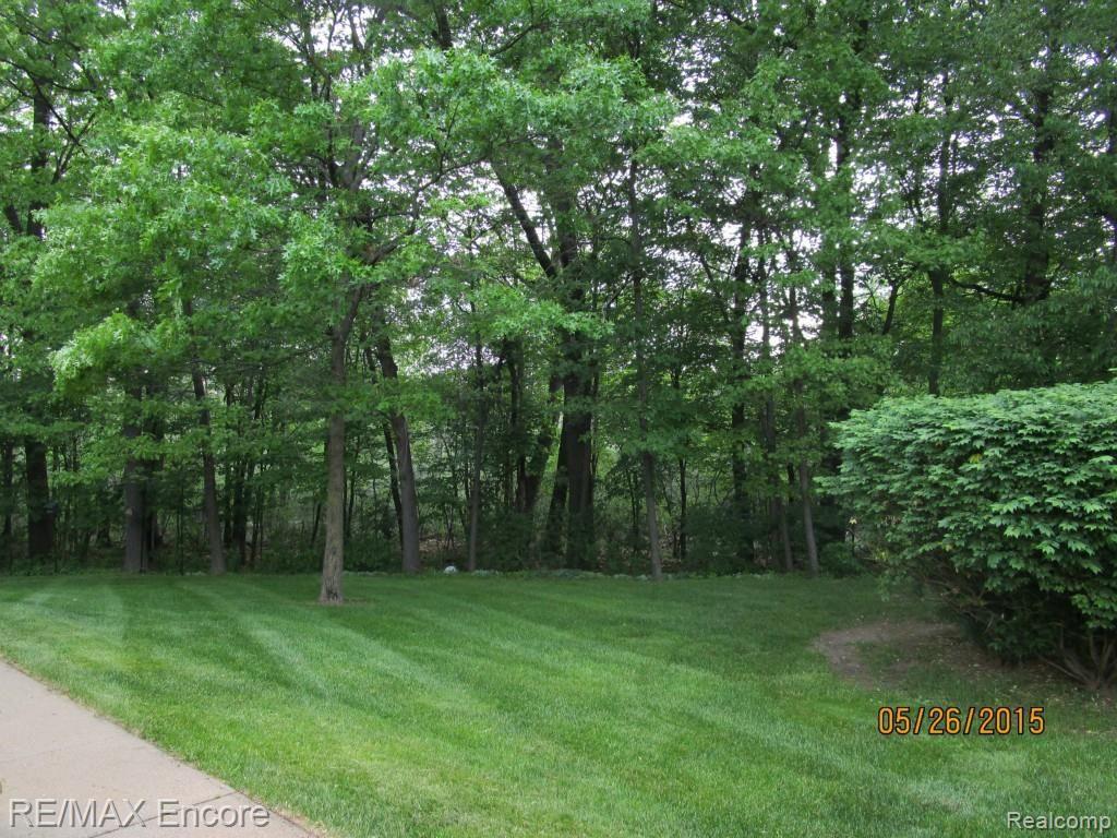 230 Pine Tree Ridge, Unit 2 Waterford, MI 48327 - Photo 5 of 22