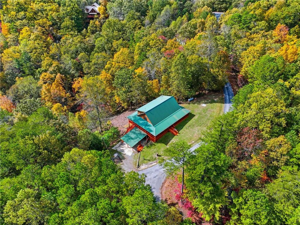 1384 Crystal Lane Northeast Ranger, GA 30734 - Photo 47 of 57 an aerial view of a house with a yard and swimming pool