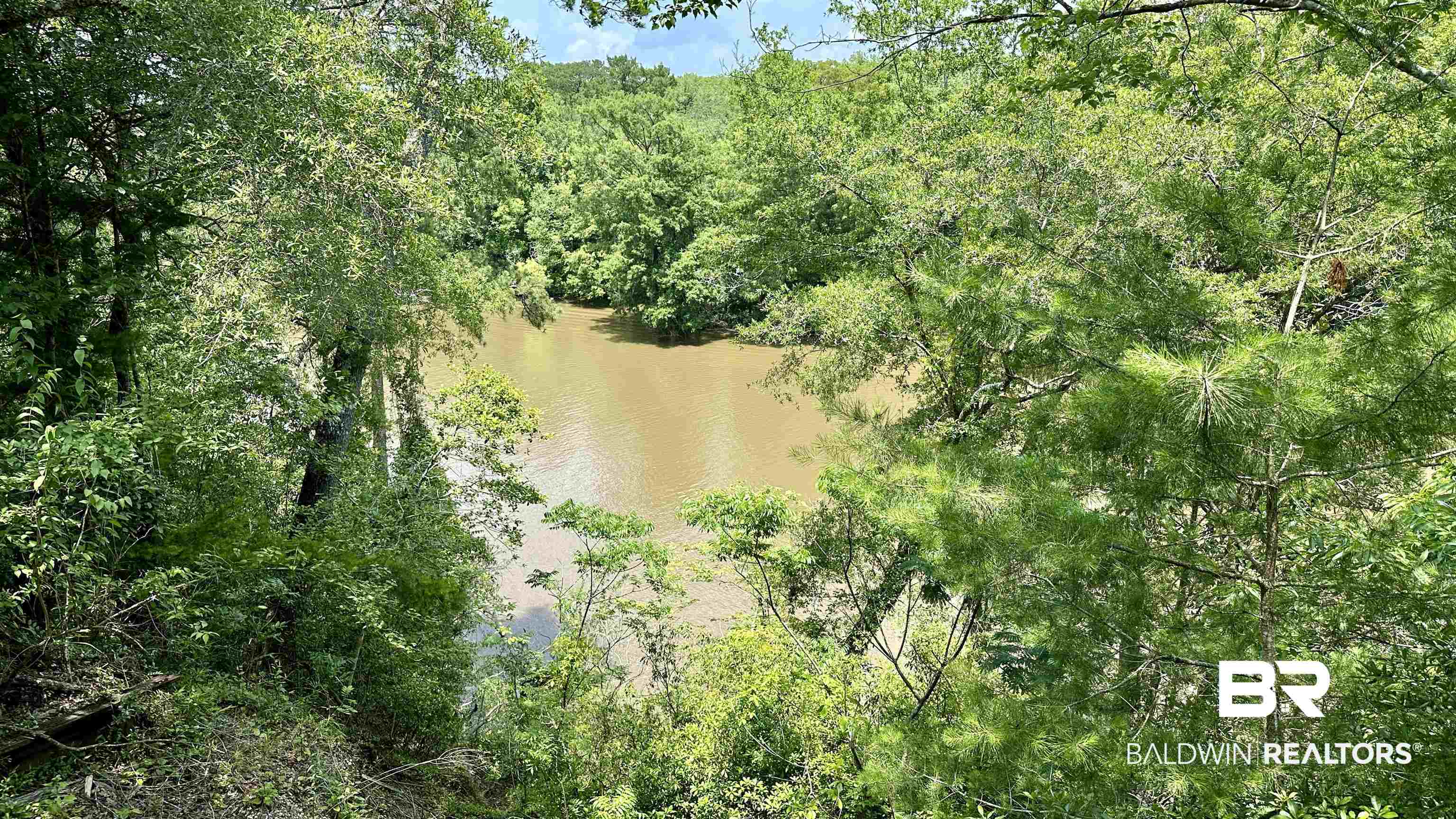 55972 Turkey Bluff Drive Stockton, AL 36579 - Photo 2 of 23