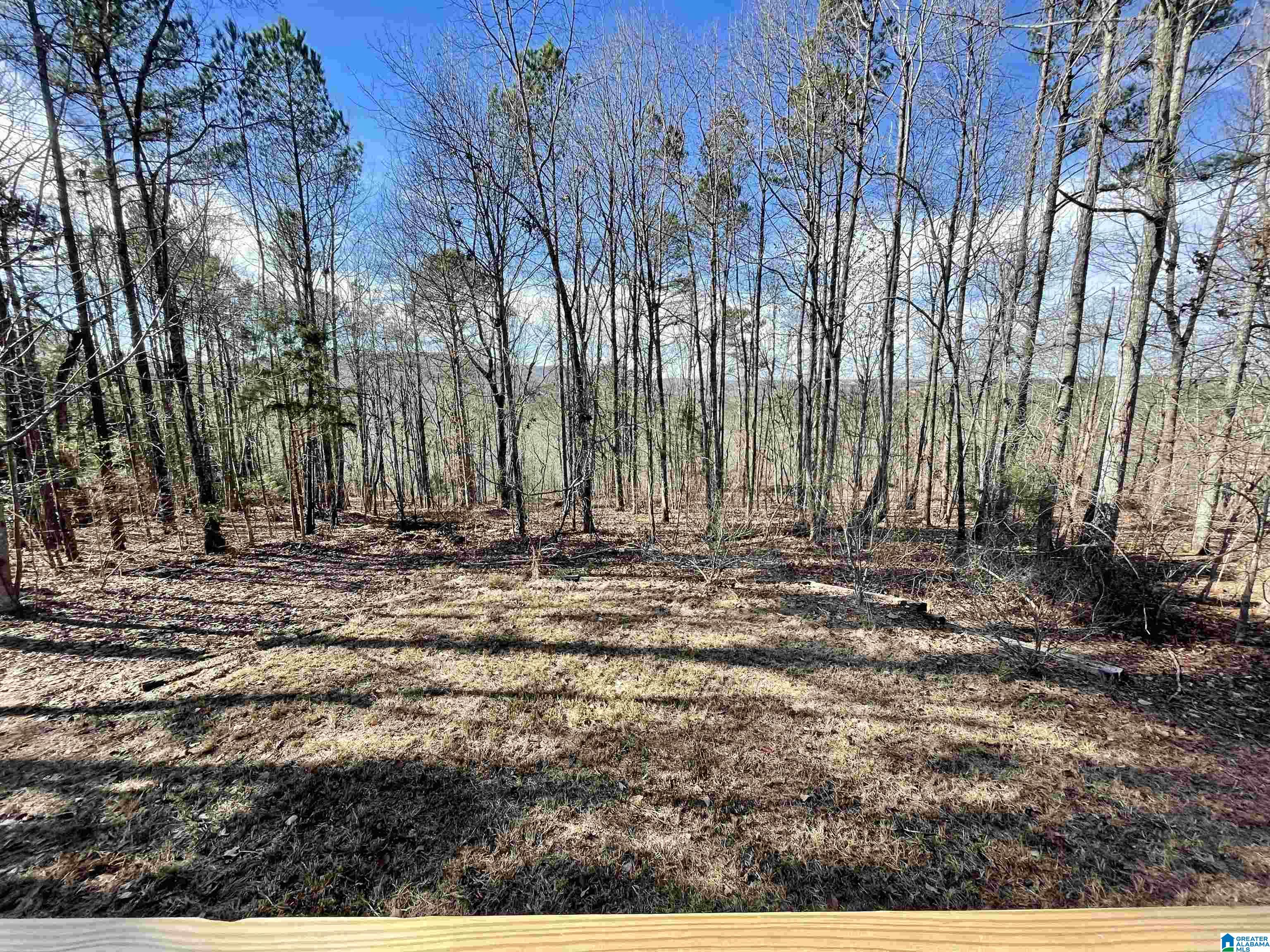 235 Forest View Circle Hayden, AL 35079 - Photo 19 of 21
