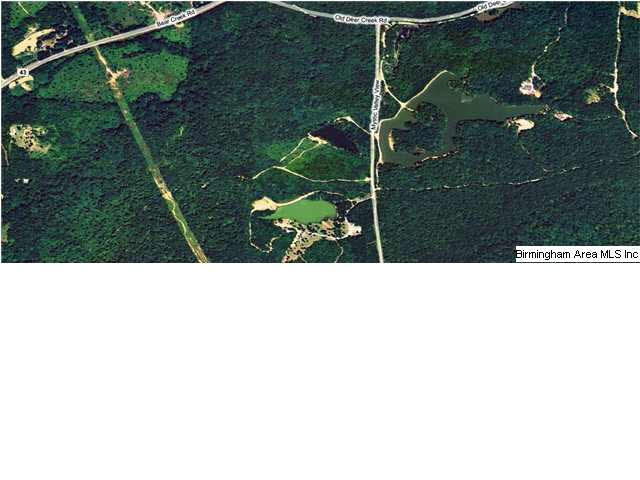 480 Mystic Valley View Sterrett, AL 35147 - Photo 2 of 4