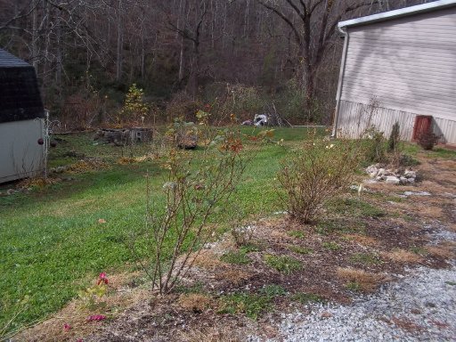 309 Bridges Road Heiskell, TN 37754 - Photo 12 of 32 Additional Photo