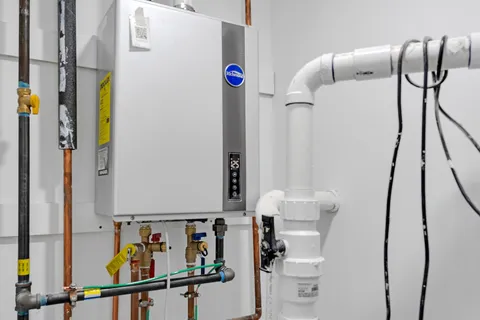 a view of a yard with plants and trees