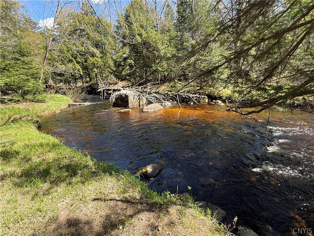 Lot # Meekerville Road Forestport, NY 13338 - Photo 32 of 45