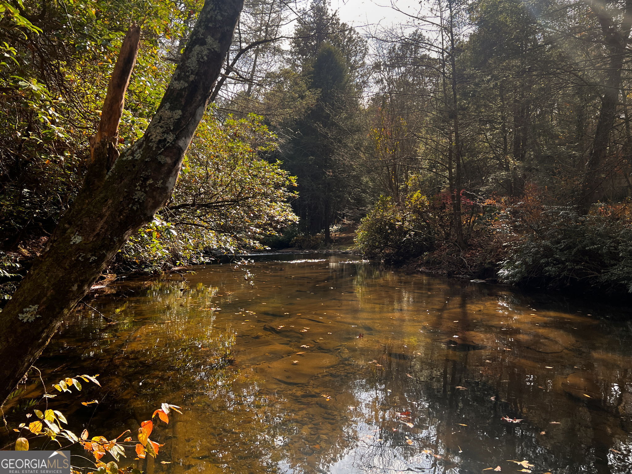 0 Soque Falls Drive Clarkesville, GA 30523 - Photo 2 of 11 a view of lake