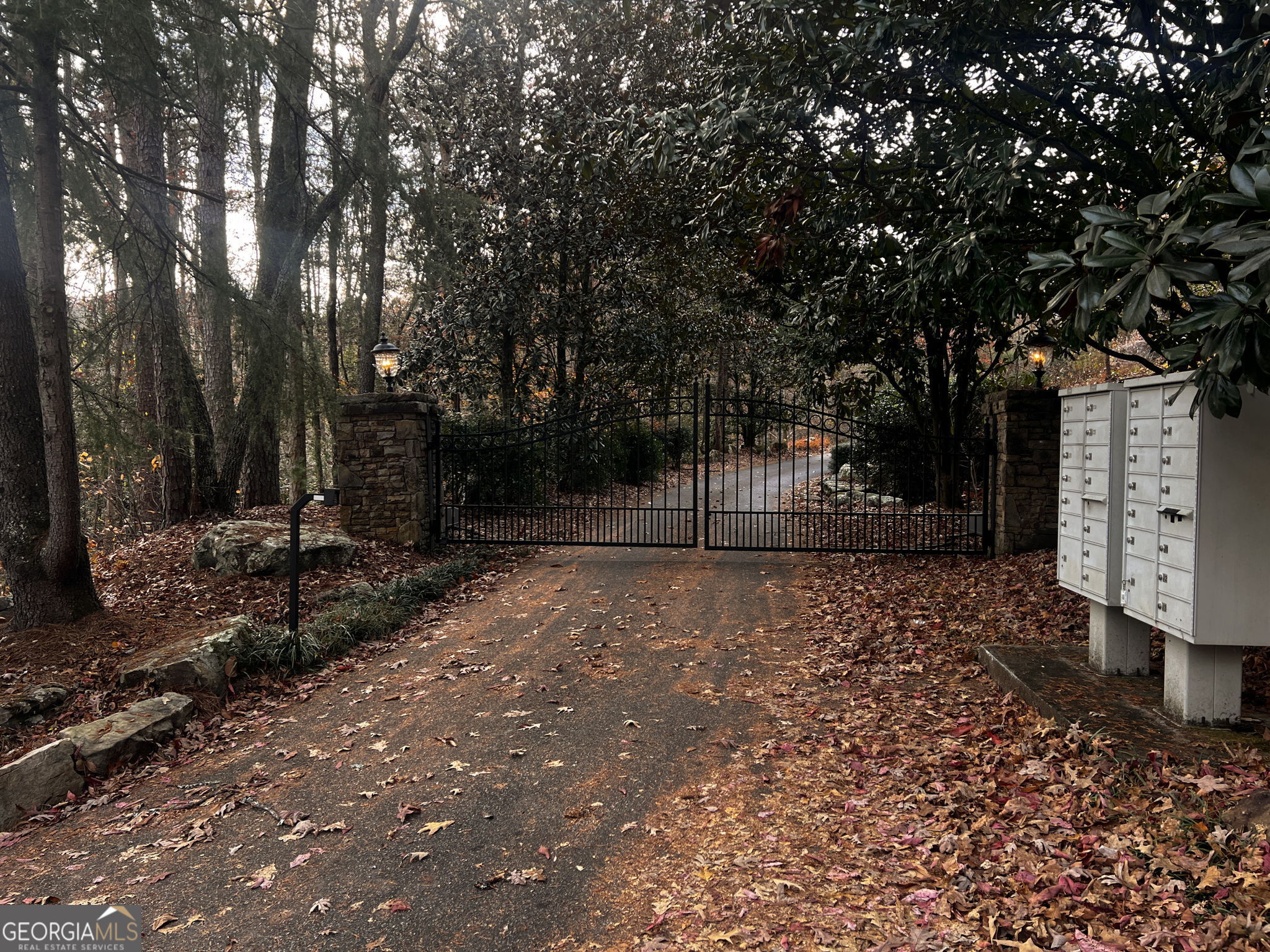0 Soque Falls Drive Clarkesville, GA 30523 - Photo 9 of 11 a view of backyard with green space