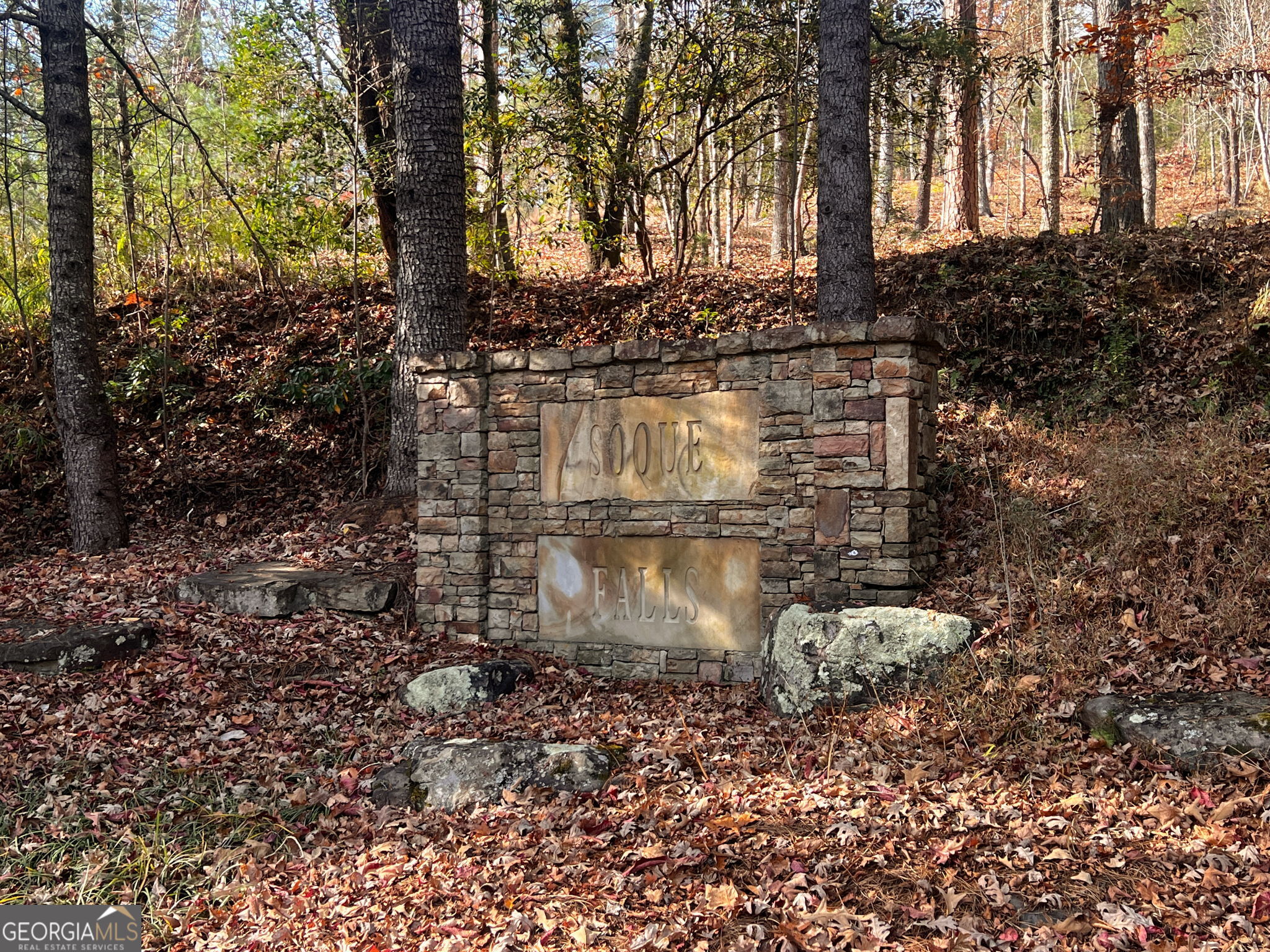 0 Soque Falls Drive Clarkesville, GA 30523 - Photo 10 of 11