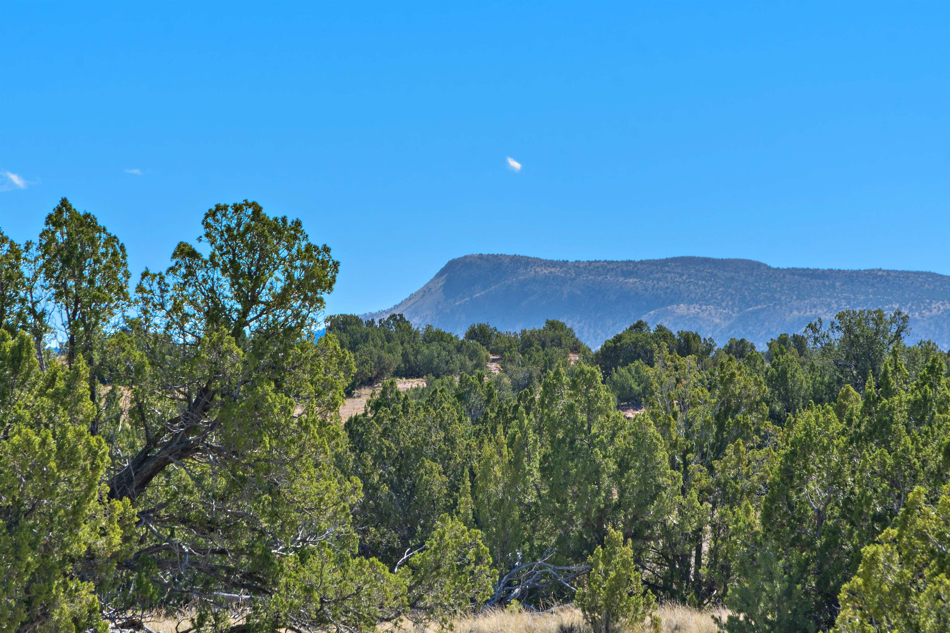 84 West Basin Ridge Cerrillos, NM 87010 - Photo 18 of 25