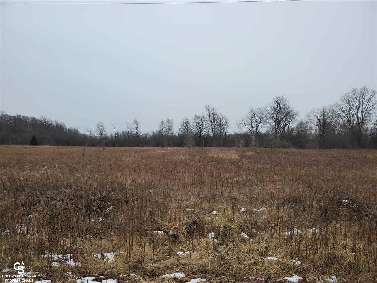 Rynn Rd Ville Avoca, MI 48006 - Photo 5 of 22