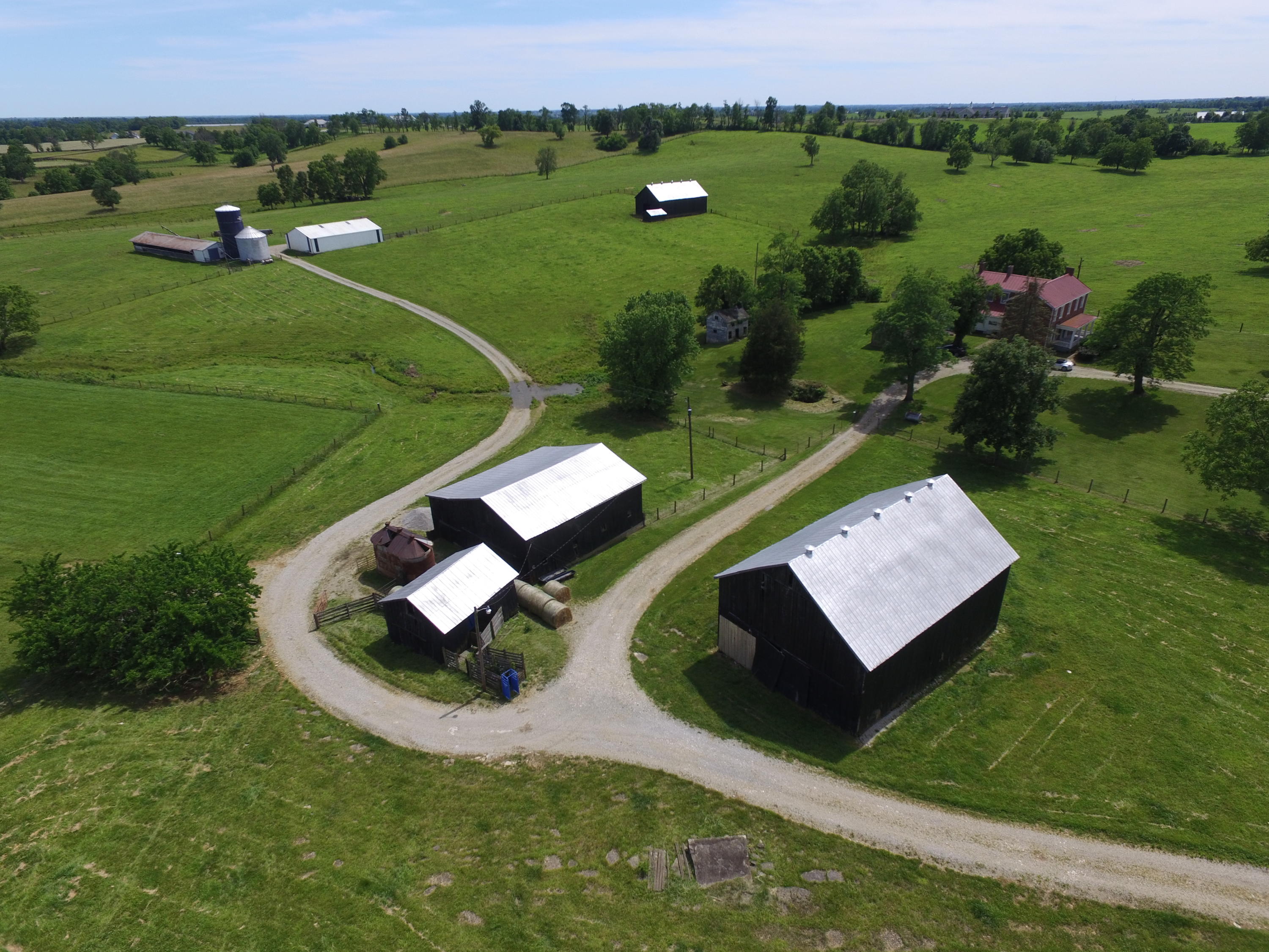 1236 Jackstown Road Paris, KY 40361 - Photo 22 of 41 barnsside