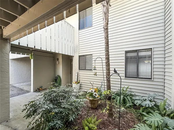 a view of a backyard with plants