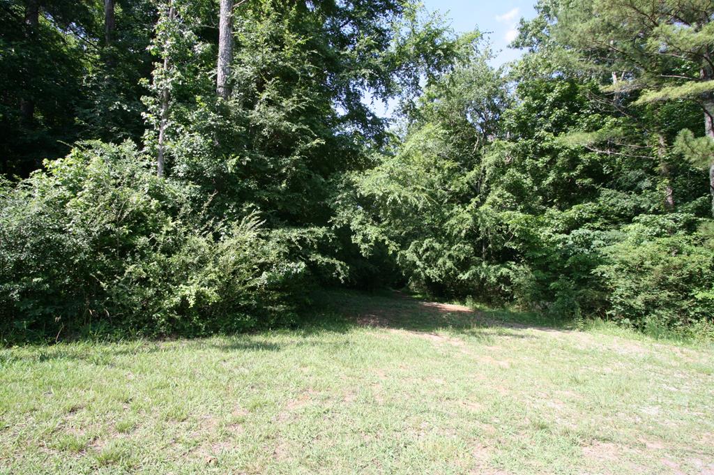 601 McCamy Road Chatsworth, GA 30705 - Photo 20 of 42 Gallery Image 20