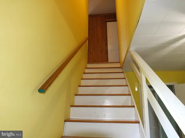 a view of a lake in middle of forest