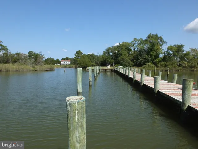 a view of house with garden
