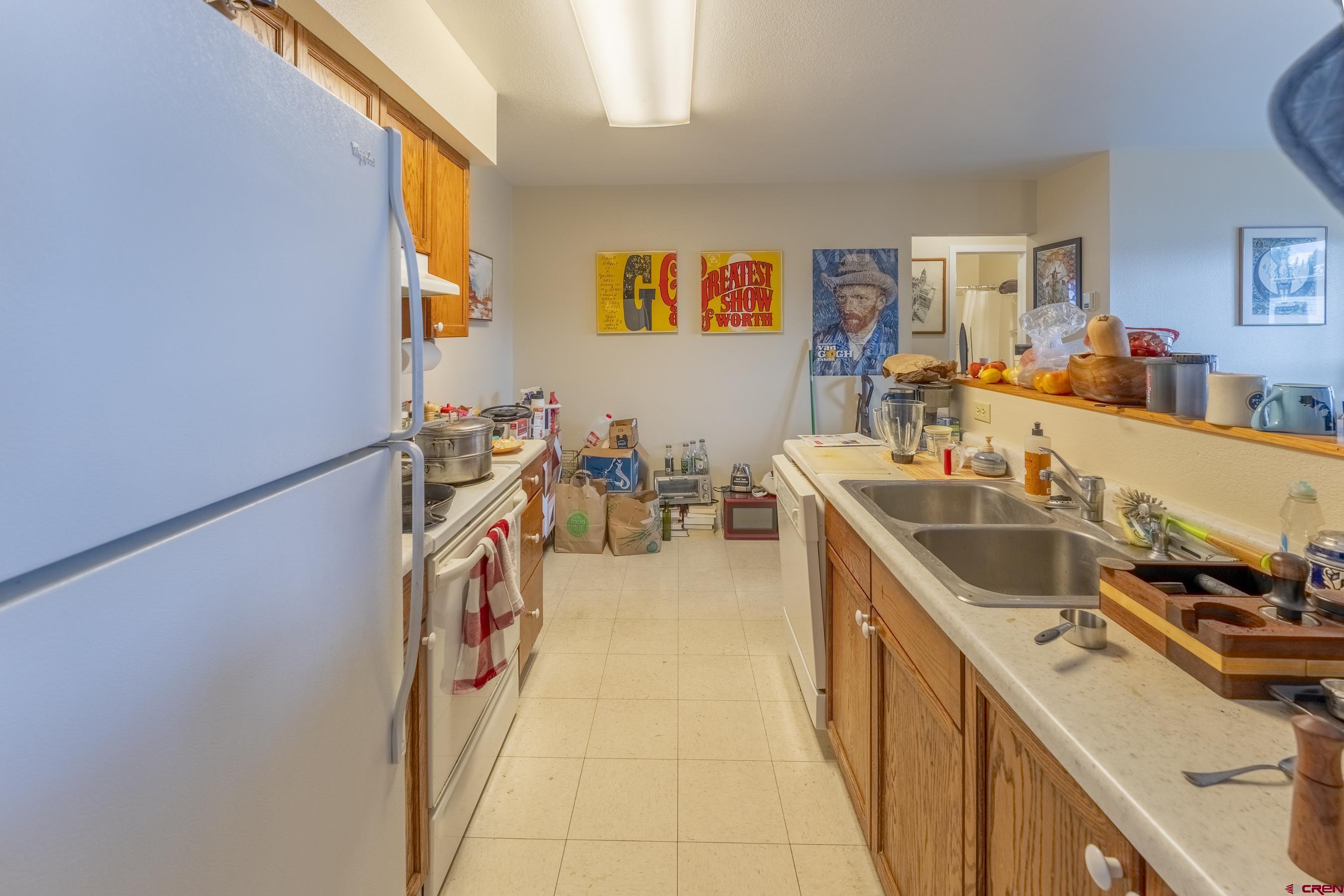 309 Belleview Avenue, Unit 2C Crested Butte, CO 81224 - Photo 7 of 17 a storage room with a sink and cabinets