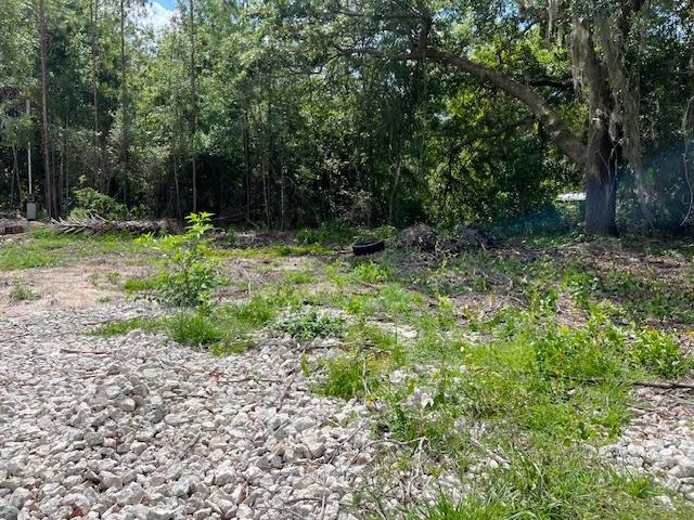 102 Horseman Club Road Palatka, FL 32177 - Photo 2 of 8