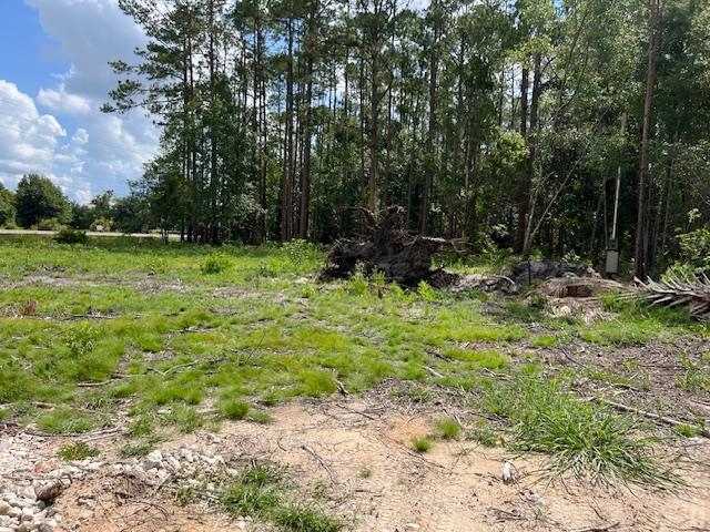 102 Horseman Club Road Palatka, FL 32177 - Photo 3 of 8