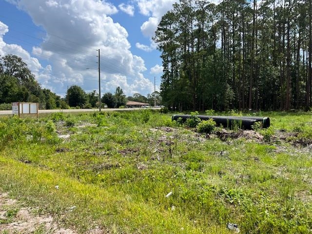 102 Horseman Club Road Palatka, FL 32177 - Photo 5 of 8