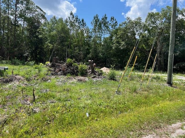 102 Horseman Club Road Palatka, FL 32177 - Photo 6 of 8