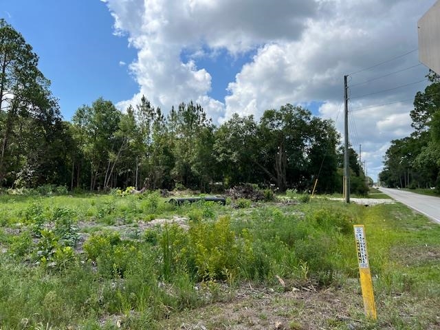 102 Horseman Club Road Palatka, FL 32177 - Photo 8 of 8