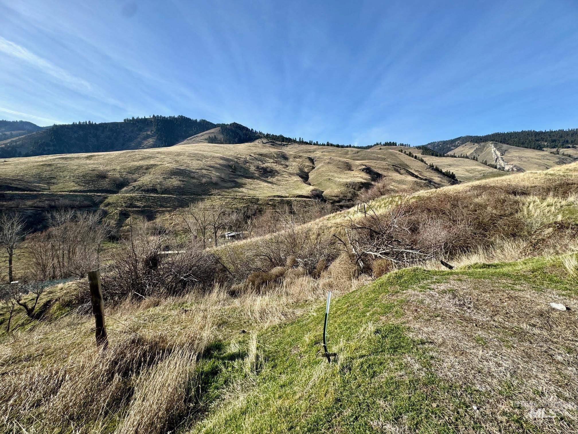 Tbd East Shingle Creek Road Riggins, ID 83549 - Photo 16 of 17 View of mountain background