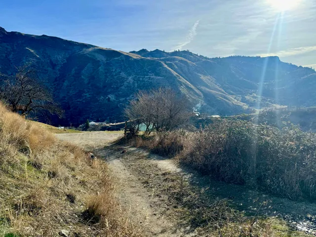 $175,000 | Tbd East Shingle Creek Road, Riggins, ID 83549