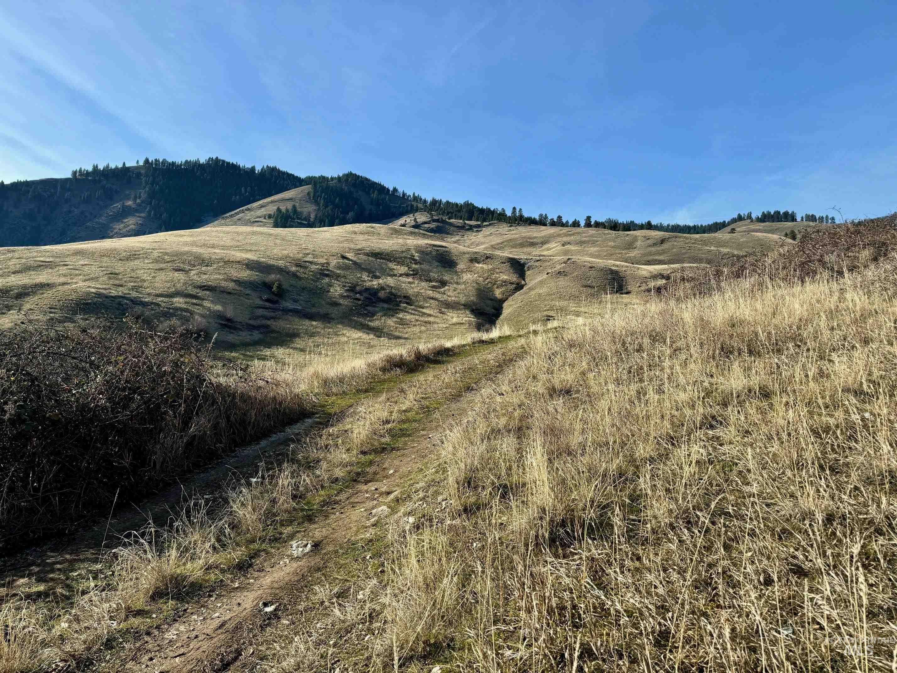 Tbd East Shingle Creek Road Riggins, ID 83549 - Photo 5 of 17 View of mountain backdrop with rural landscape