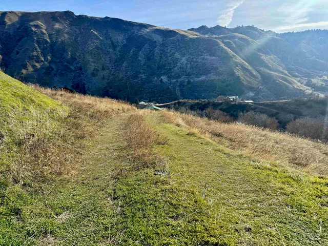 $175,000 | Tbd East Shingle Creek Road, Riggins, ID 83549