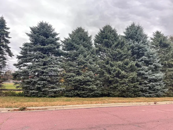 $12,500 | 410 Elm Street, Tracy, MN 56175
