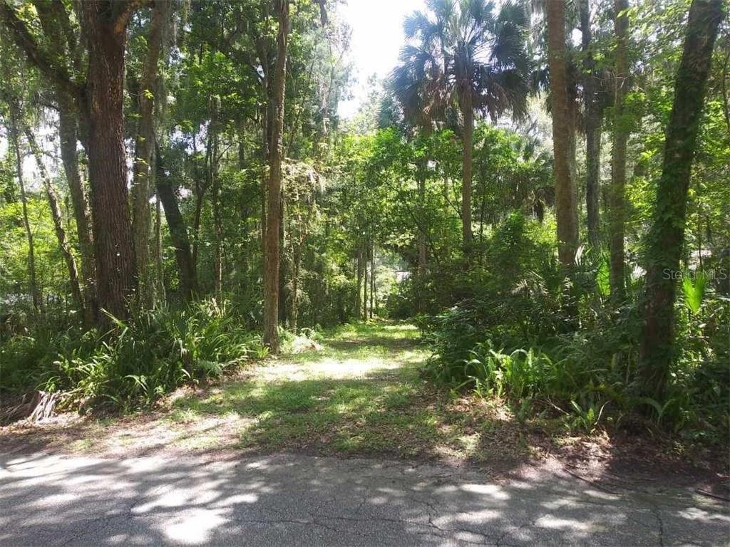 0 Southwest 7th Avenue Road Ocala, FL 34471 - Photo 1 of 1 Gallery Image 1