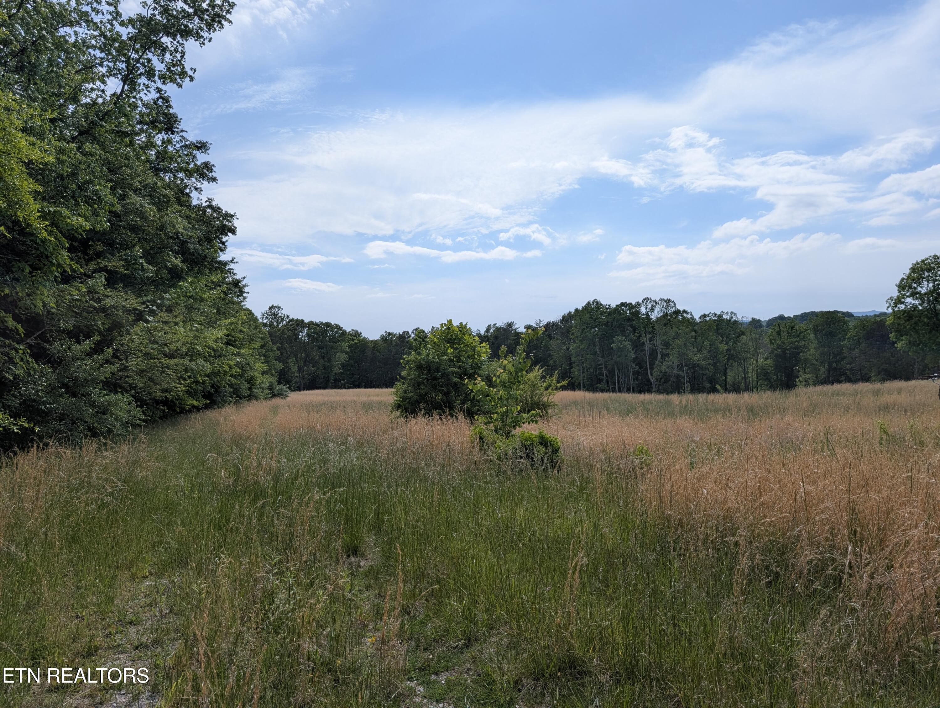 1615 Burdette Road Grandview, TN 37337 - Photo 1 of 5 PXL_20260516_201334481