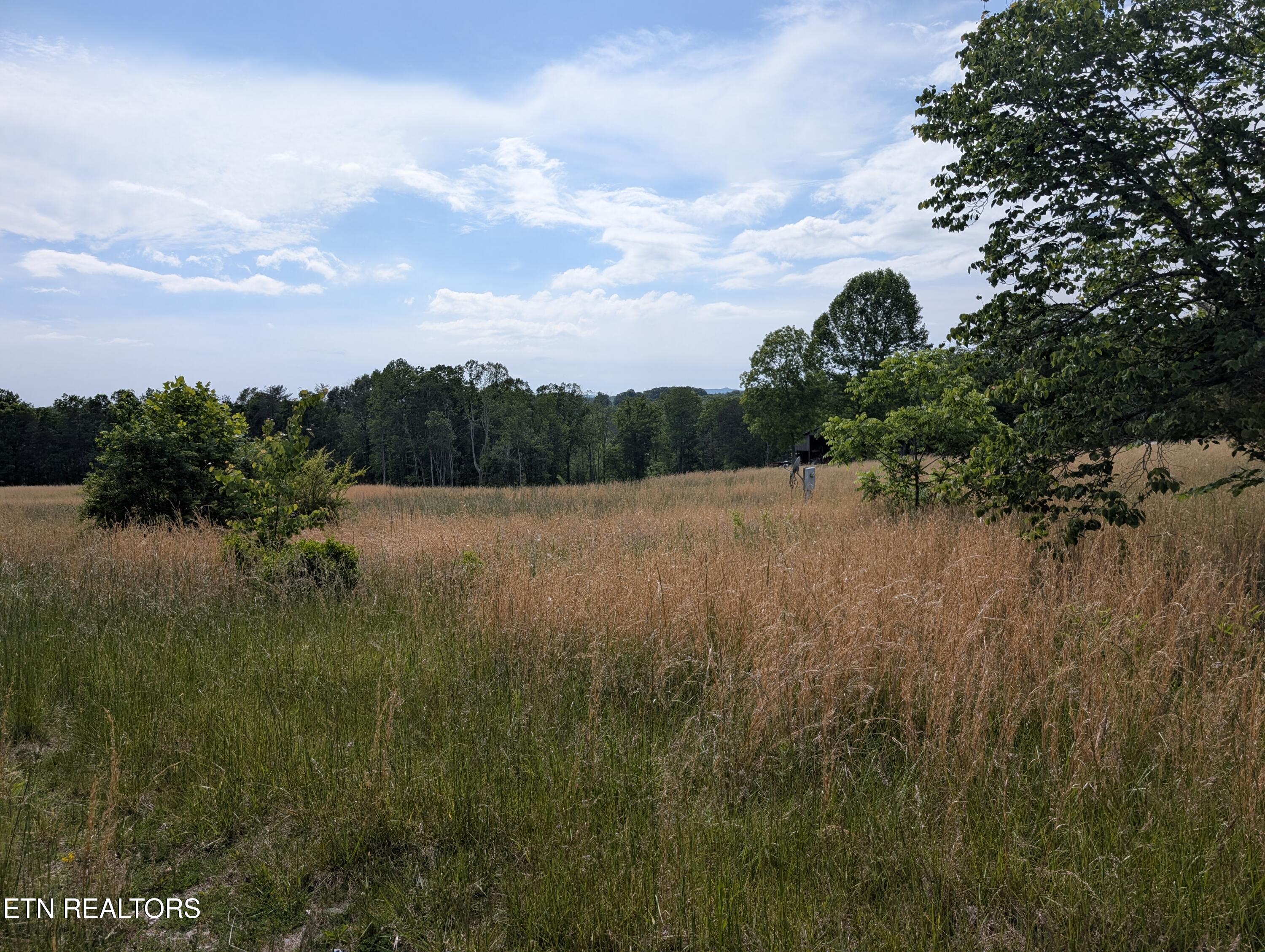 1615 Burdette Road Grandview, TN 37337 - Photo 2 of 5 PXL_20260516_201331738