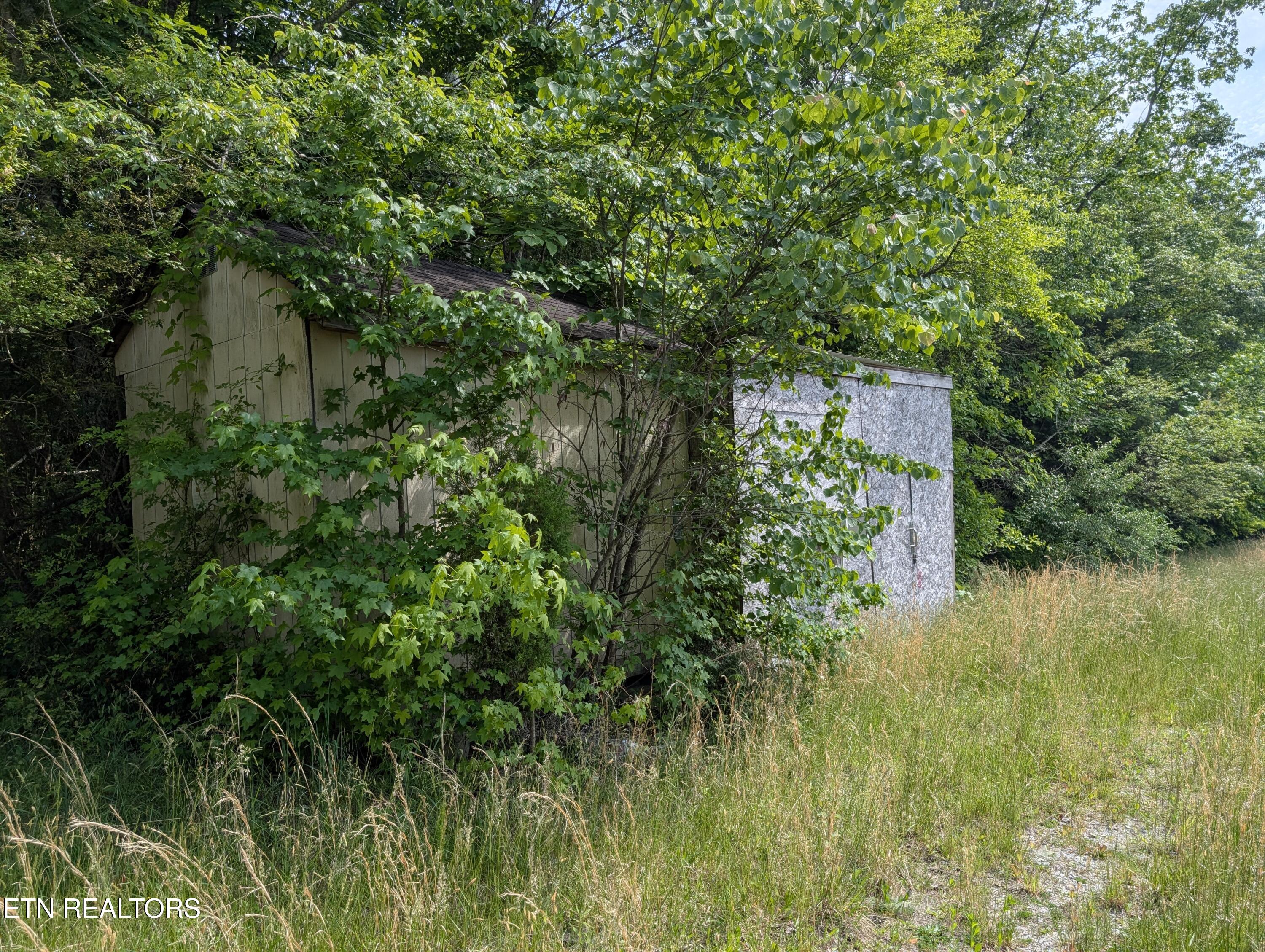 1615 Burdette Road Grandview, TN 37337 - Photo 3 of 5 PXL_20260516_201323999