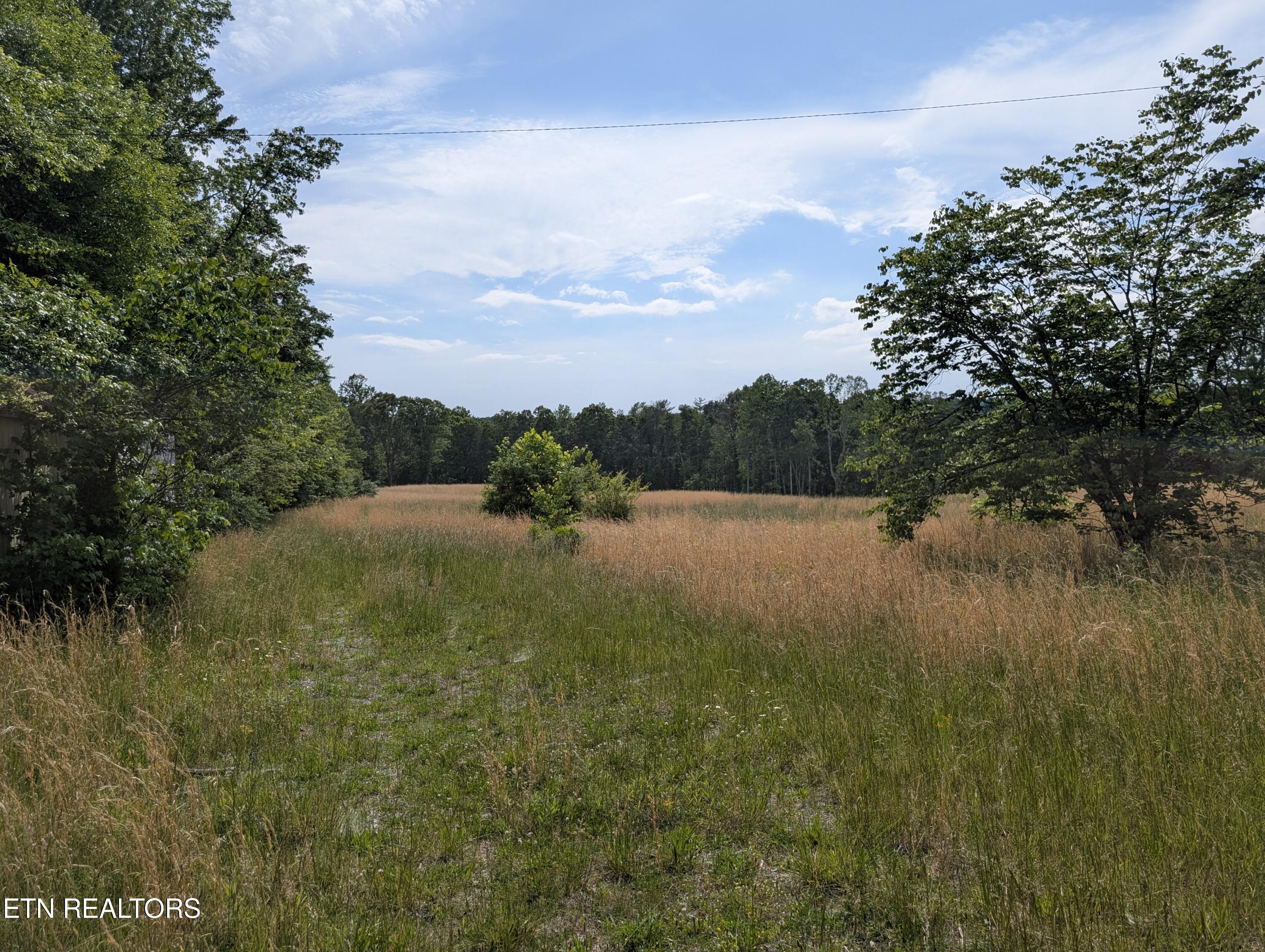 1615 Burdette Road Grandview, TN 37337 - Photo 5 of 5 PXL_20260516_201230192