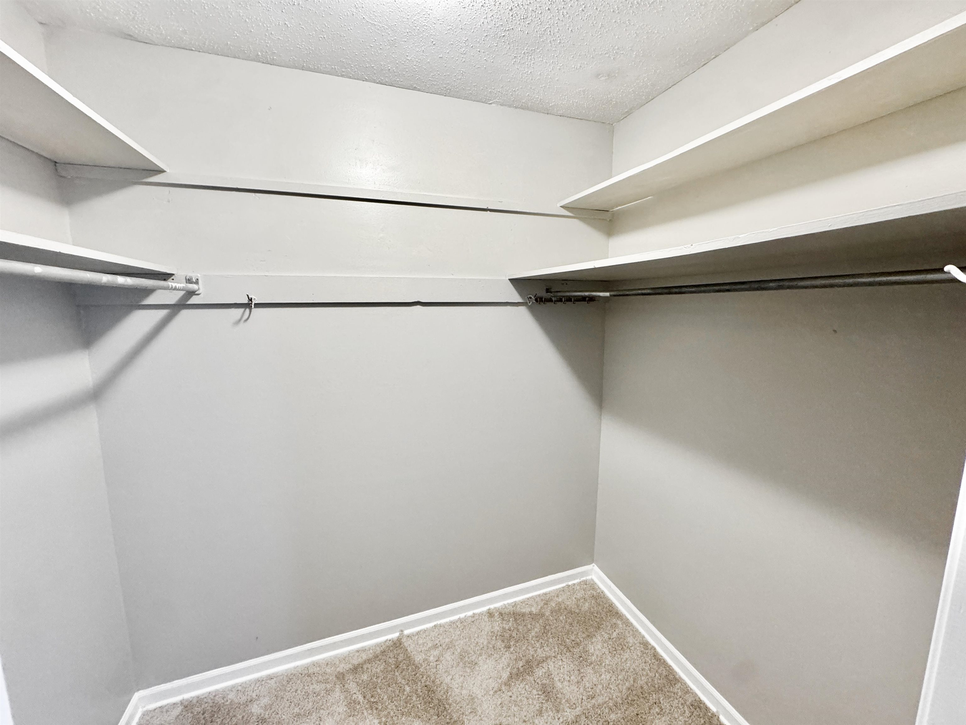 3836 Birchleaf Road Memphis, TN 38116 - Photo 21 of 40 Spacious closet with carpet flooring