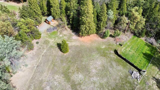 10041 Highway 299, Unit 299 Burnt Ranch, CA 95527 - Photo 12 of 44