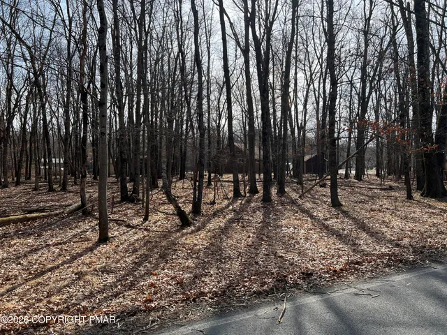 a view of outdoor space with wooden fence
