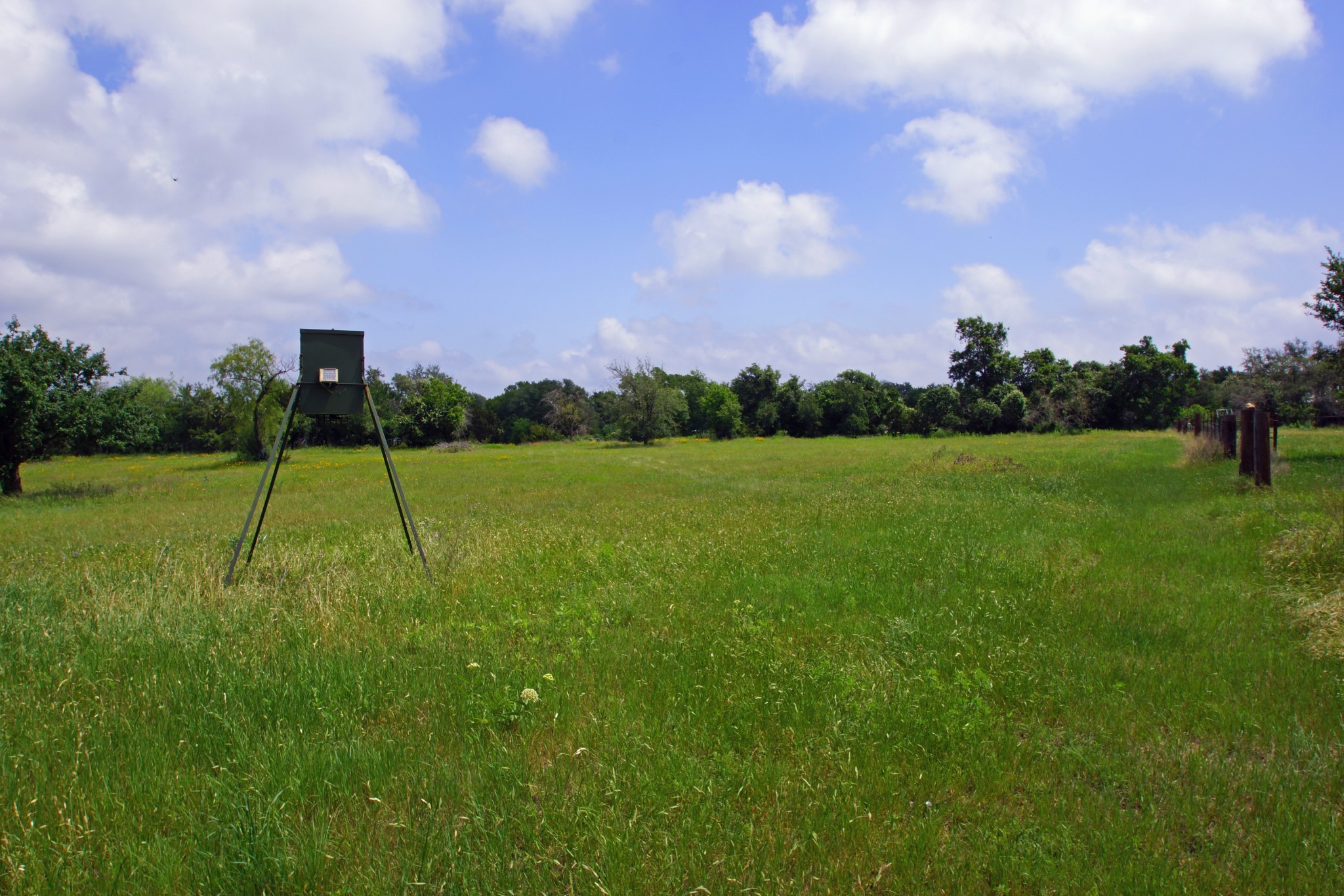244 Apache Springs Road Briggs, TX 78608 - Photo 1 of 25 a view of a golf course with a lake