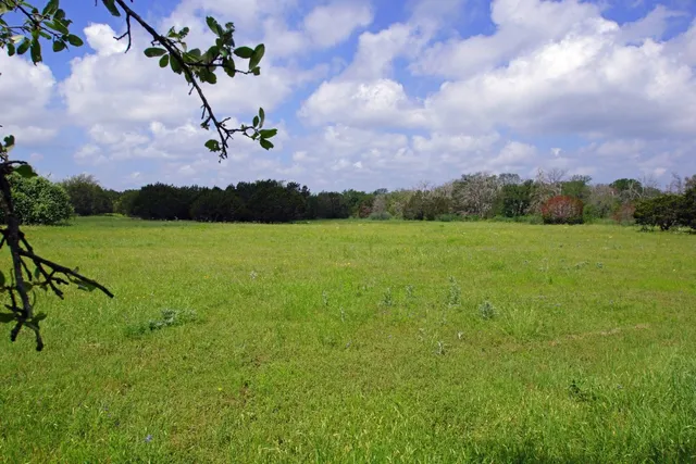 a view of a lake with a yard