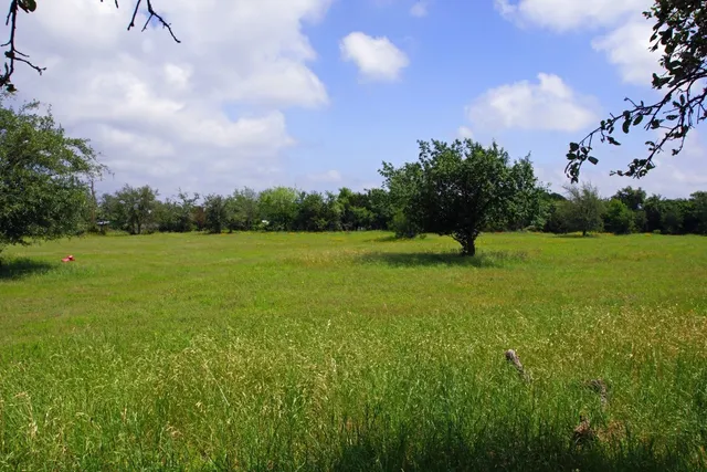 a view of a field with an trees in the background