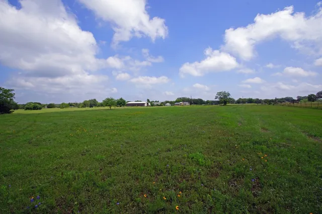 a view of a big yard with lots of green space