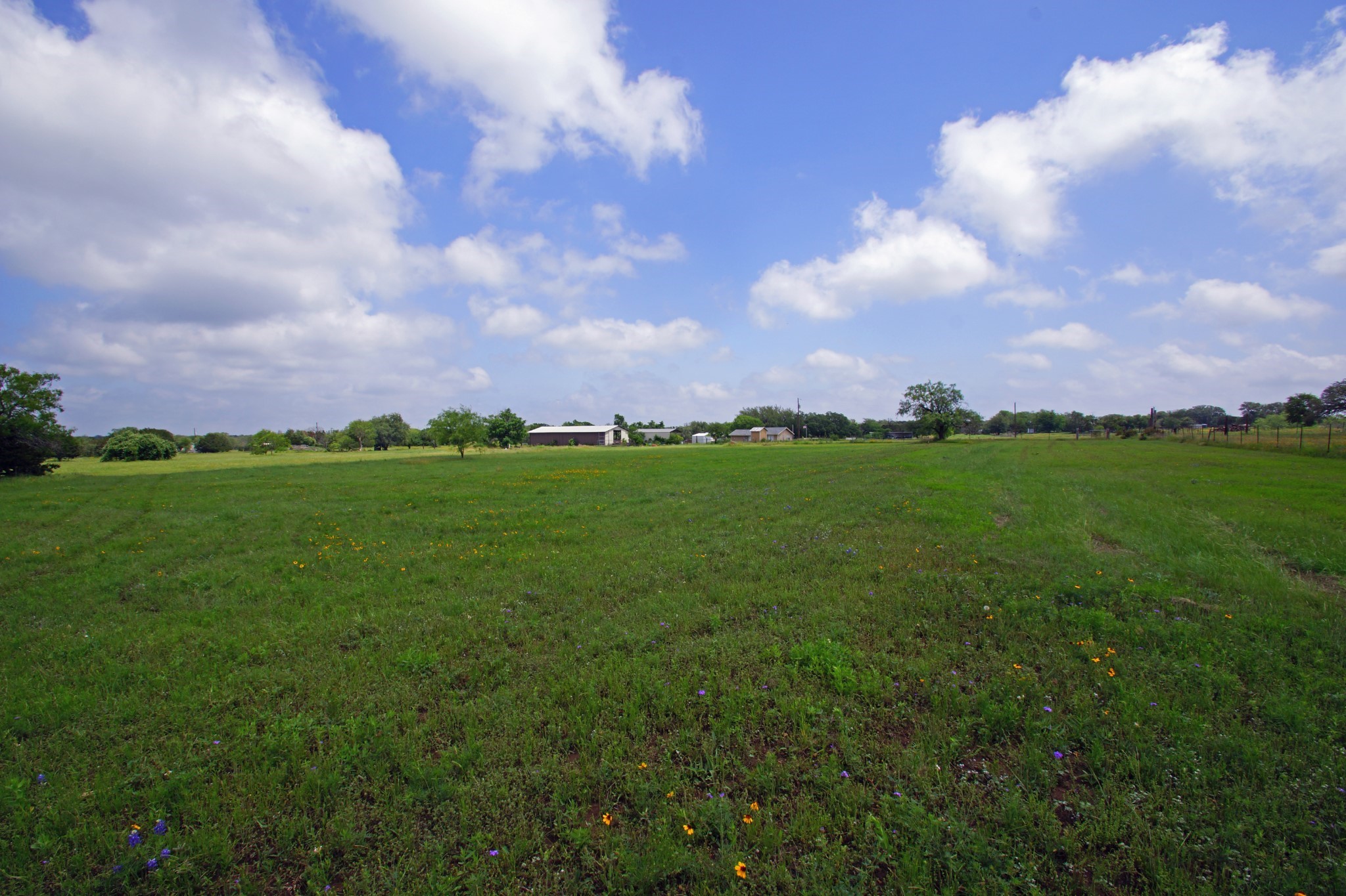 244 Apache Springs Road Briggs, TX 78608 - Photo 17 of 25 a view of a big yard with lots of green space