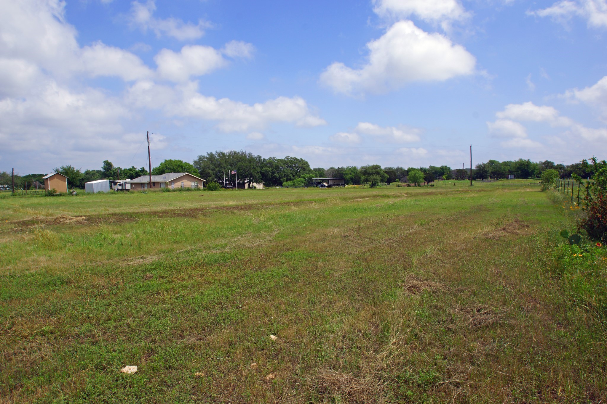 244 Apache Springs Road Briggs, TX 78608 - Photo 19 of 25 a view of a big yard with a large tree