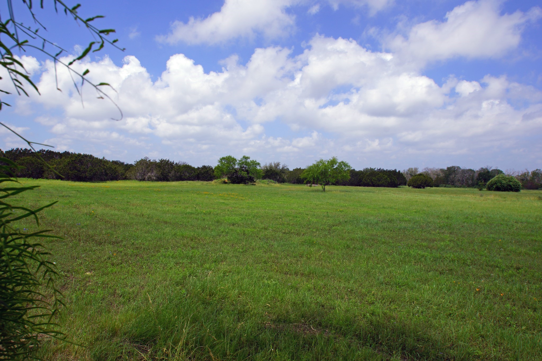 244 Apache Springs Road Briggs, TX 78608 - Photo 20 of 25 a view of a lake with a big yard