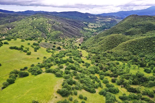 a view of a lush green hillside and a mountain
