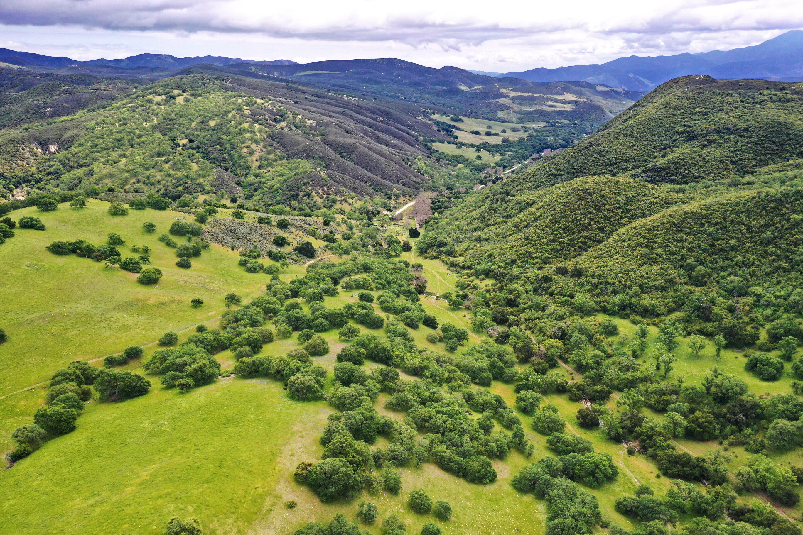 a view of a lush green hillside and a mountain