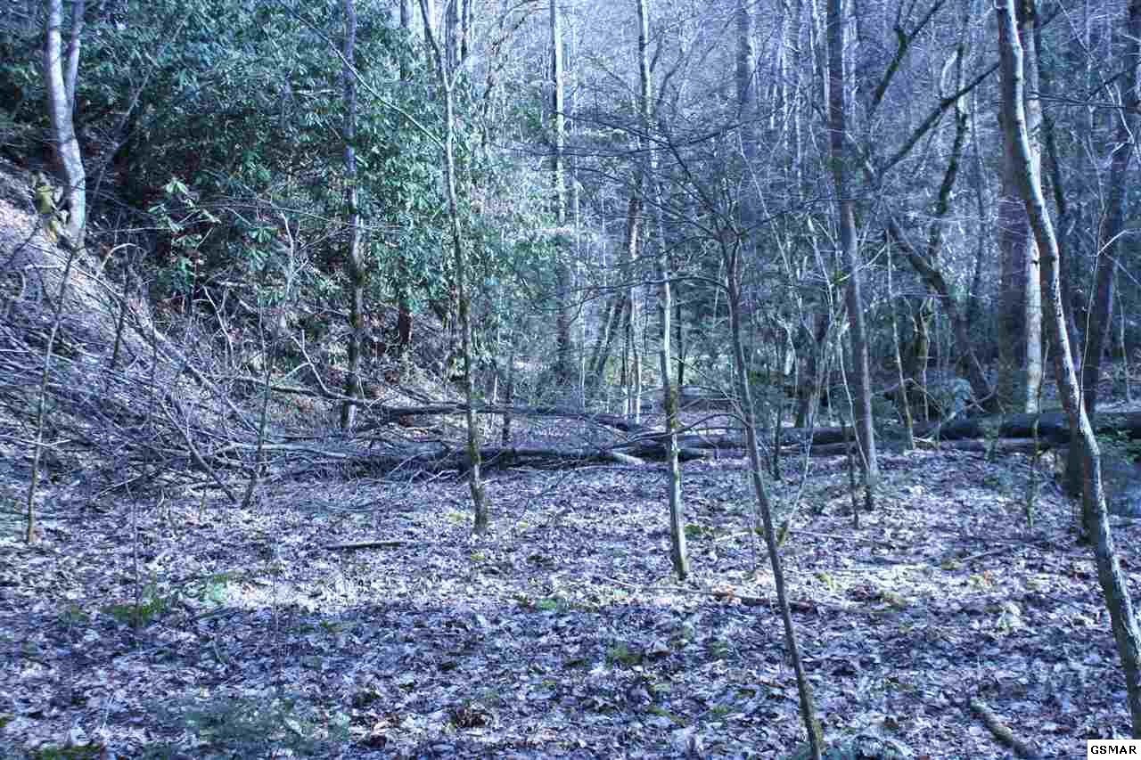 0 Ball Hollow Road Cosby, TN 37722 - Photo 21 of 36 Gallery Image 21