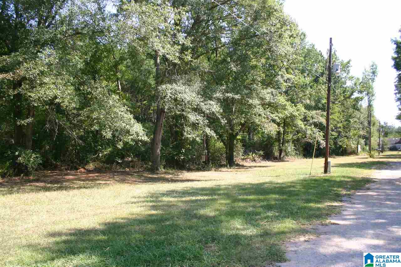 Gallman Lane Talladega, AL 35160 - Photo 12 of 19